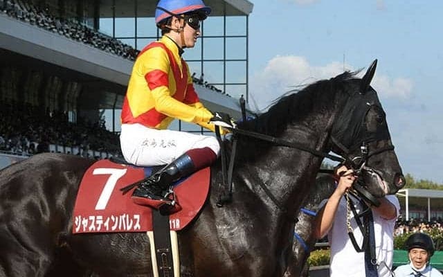 三冠への快勝に不良馬場、波乱… 三者三様だった中京開催の神戸新聞杯