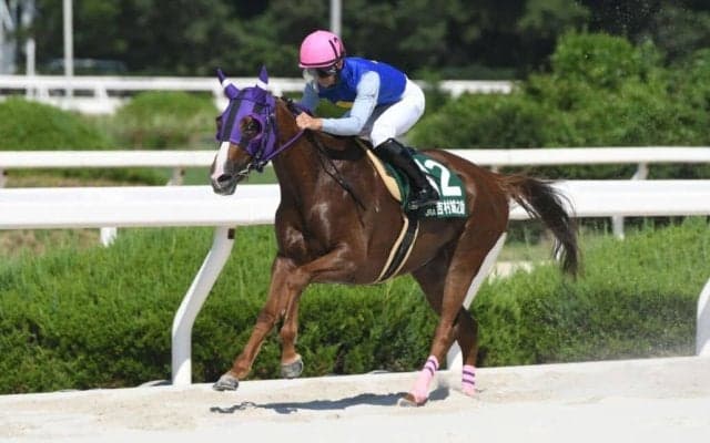 【YJS園田】JRA暫定トップは橋木太希騎手