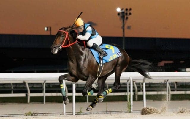 【YJS名古屋】JRA橋木太希、地方望月洵輝が暫定1位