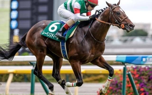 【オールカマー出走馬・騎手確定】レーベンスティール＆C.ルメール騎手、ステラヴェローチェ＆横山典弘騎手など15頭