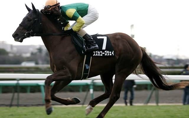 スズカコーズウェイが種牡馬引退 「ナイスネイチャ・メモリアルドネーション2024」対象1頭目の功労馬に