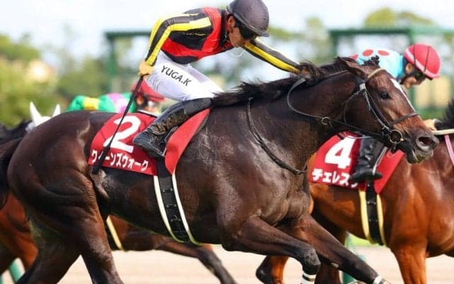 【ローズS】川田「体の芯が強くなった」クイーンズウォーク秋華賞権利獲得