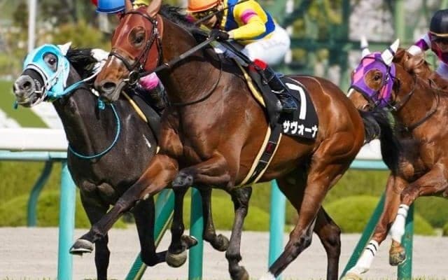 芝中長距離界の“バイプレーヤー” オールカマーで今度こそ初タイトルを
