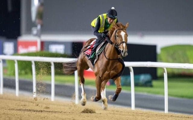 【日本テレビ盃】デルマソトガケなどJRA4頭