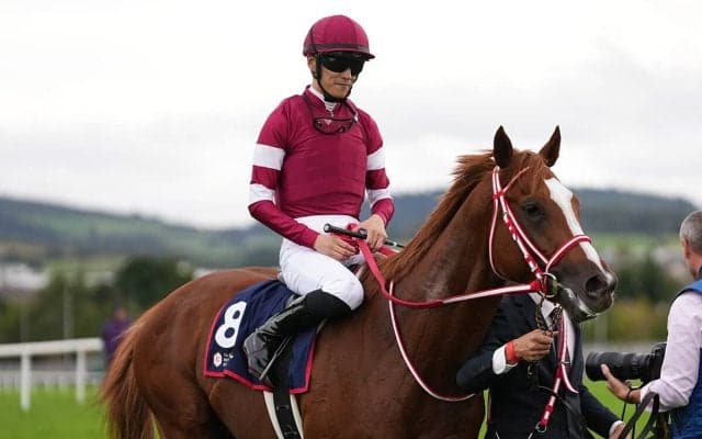 シンエンペラー、凱旋門賞へ膨らむ期待　前哨戦で見せた走りに海外記者たちの評価が急上昇