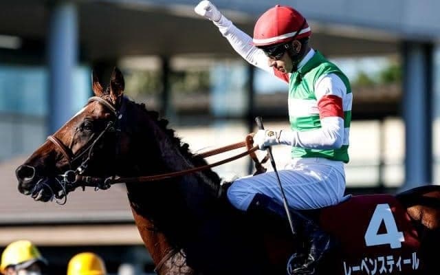 【オールカマー枠順確定】レーベンスティールは3枠4番、ステラヴェローチェは3枠5番