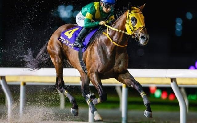 日本テレビ盃出走予定馬 ドバイWC覇者ウシュバテソーロや2年ぶり国内出走のデルマソトガケなど14頭