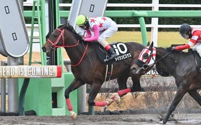 【金沢・白山大賞典枠順】3連勝中のダイシンピスケスは吉原寛人騎手とタッグ 6枠8番から初タイトル狙う