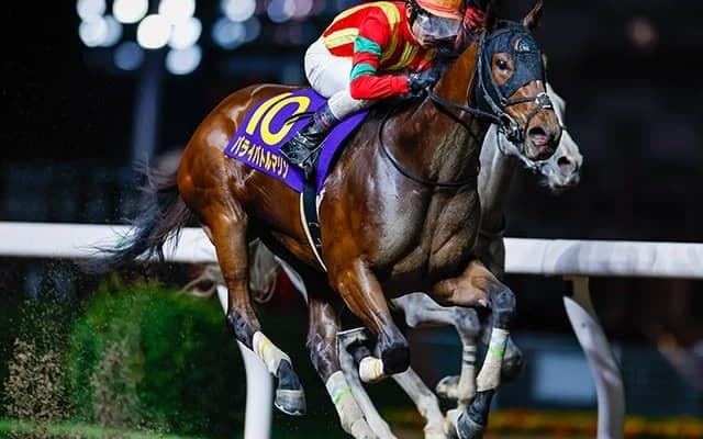 23年関東オークス覇者パライバトルマリンが抹消 今後はノーザンファームで繁殖入りへ