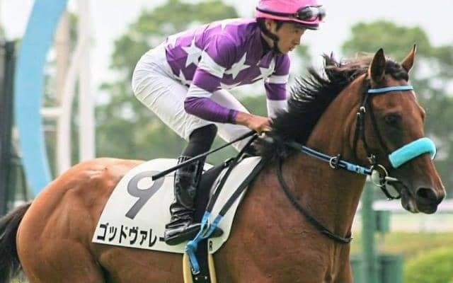 ソフトバンクホークス・柳田悠岐選手の愛馬 ケガから実戦復帰のオーナーに吉報を届けるか