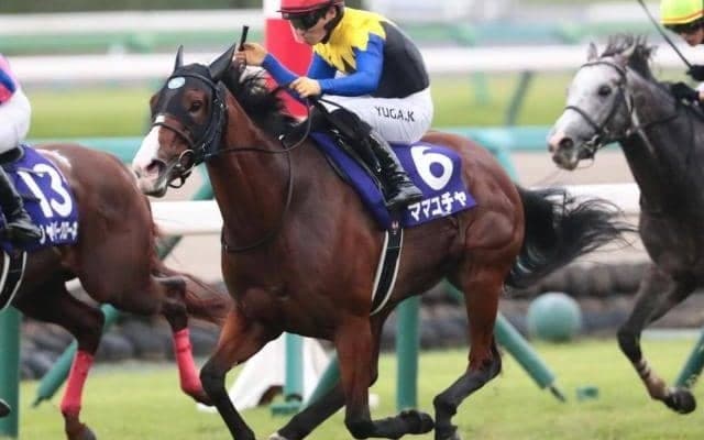 クロフネ産駒20年連続重賞Vへ スプリンターズS連覇で父に新たな勲章届けるか