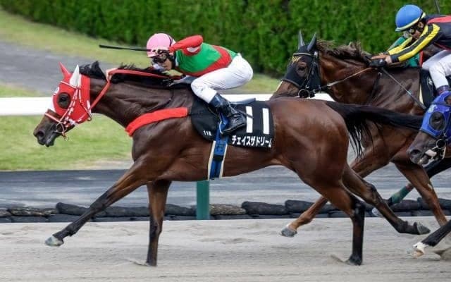 【今日の注目ポイント】少頭数の2歳戦・野路菊Sで素質馬が激突