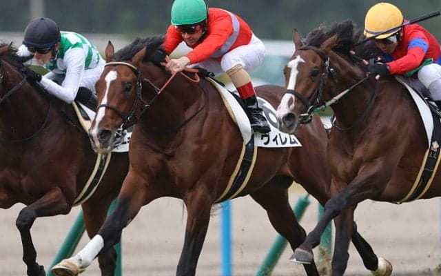 神戸新聞杯はここ３年波乱続き 今年も主役不在で穴党記者推奨の伏兵２頭に妙味あり