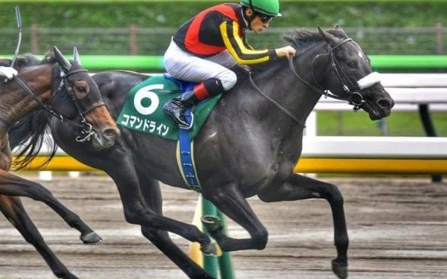 米G1勝ち馬を母に持つ1.2億円馬 武豊騎手の手綱でデビューV飾るか