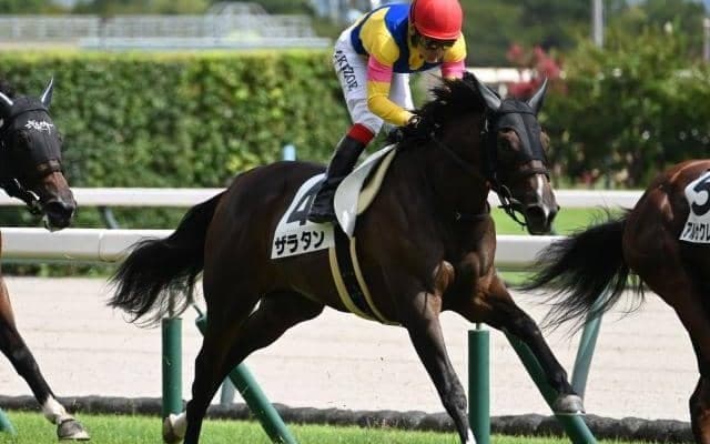 【中京5R新馬戦結果】キズナ産駒ザラタンが競り合いを制す