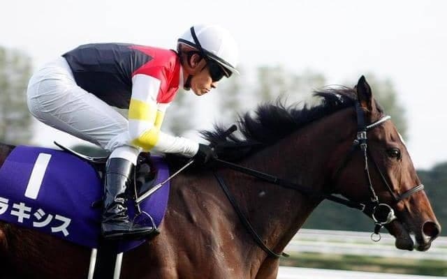 母はエ女王杯覇者のラキシス ミラージュナイトがデビューV目指す