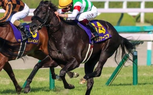 半兄はGI・3勝馬  ペリファーニアが今度こそ3勝目なるか