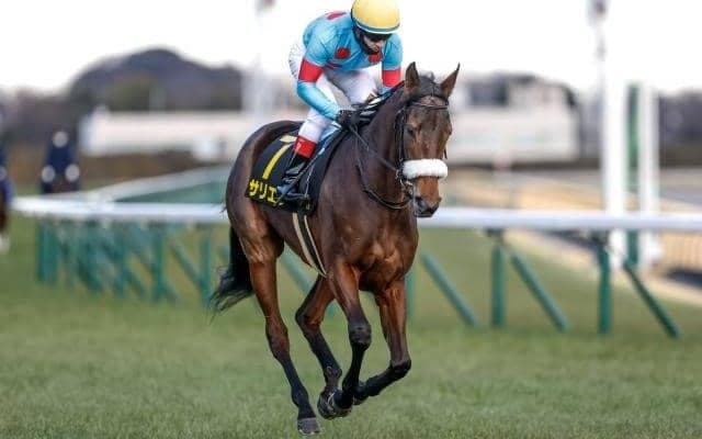 【オールカマー予想】7番人気までの組み合わせ方カギ？ 過去データから探るGII戦