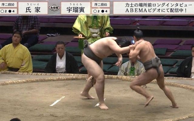 「え？」「何で倒れた？」61キロ“超軽量級”力士が突如足から崩れ落ち…ファン困惑の声「どうなったんだ」