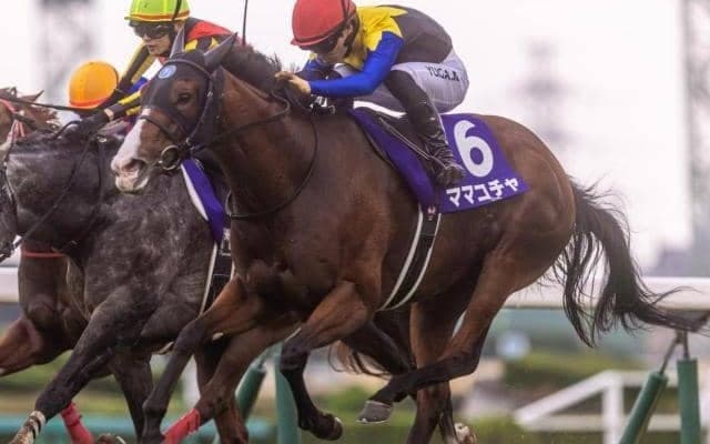 秋のGIシリーズ第一弾スプリンターズS/今週の競馬界の見どころ