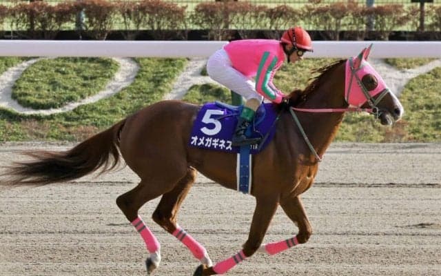 【シリウスS登録馬】オメガギネスなど17頭