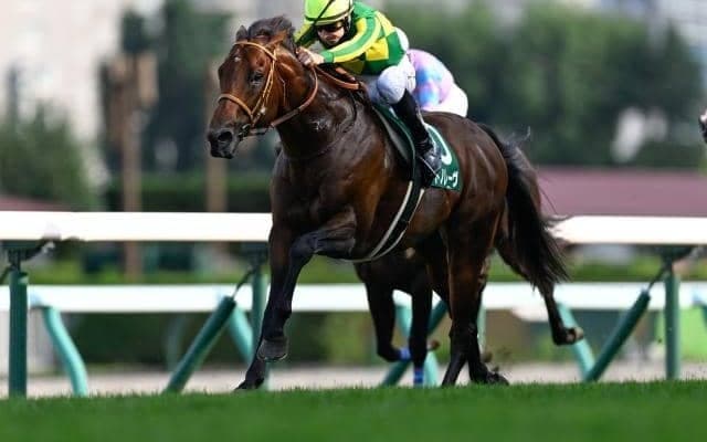 【スプリンターズS見どころ】勢いそのままにサトノレーヴがGI奪取だ