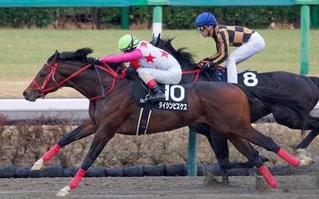 【金沢・白山大賞典注目馬】当地唯一のダートグレード競走 タイトルをつかみ大舞台へと飛躍する馬は