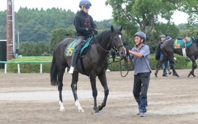 「兄とは違ったタイプだが…」香G1・2勝ウインブライトの半弟が初陣/関東馬メイクデビュー情報