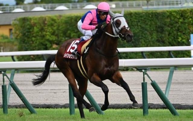 神戸新聞杯を逃げ切ったメイショウタバル 「菊花賞は歓迎」の血統背景とは