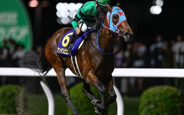 【船橋・マリーンC枠順】関東オークス覇者アンデスビエントは3枠3番 世代限定戦への移行初年度は6頭立て