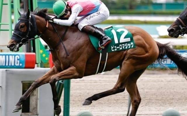 今年ダービーVの黄金タッグ結成 大ベテランが3歳牝馬をスプリンターズS制覇に導くか