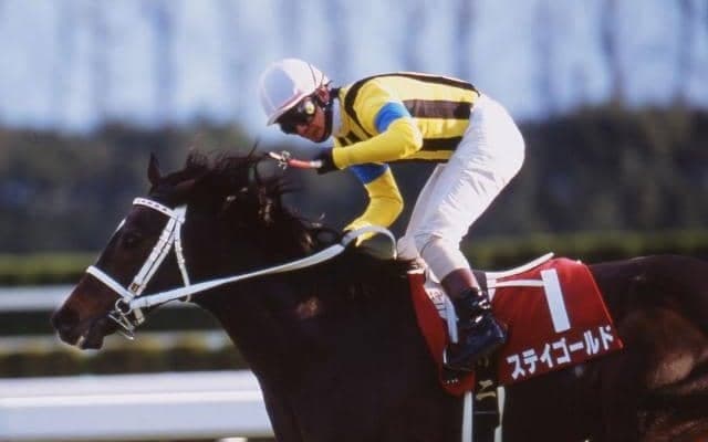 父系にひと癖あった名種牡馬「ディクタス」 日本で多数の活躍馬を出した要因とは