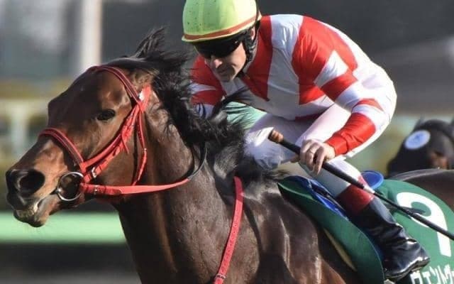 “トウカイテイオー超え”なるか 中552日でスプリンターズS出走のタートルボウル産駒が記録づくめのV狙う