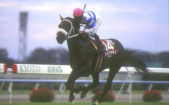 560kgの大型馬が得た最速の称号 JRA史上最高馬体重でのGI制覇