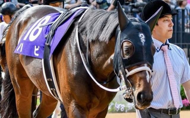 最強の重賞未勝利馬がシリウスSでタイトル狙う 10度目の挑戦で悲願成就なるか