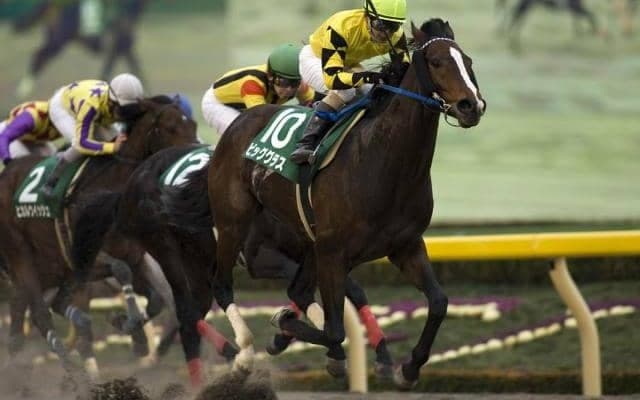 07年根岸S覇者ビッググラスが死亡 23歳