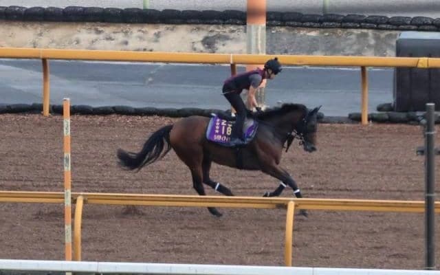 リバティアイランドなど、先週の入厩情報/栗東トレセンニュース