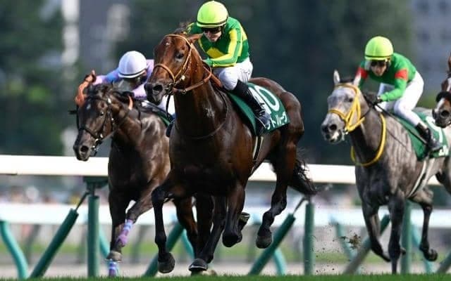 【スプリンターズS予想オッズ】サトノレーヴが予想1番人気