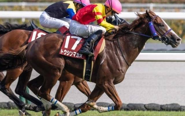 日本を代表するスプリント血統 史上4組目の父系4代JRA・GI制覇にトウシンマカオが挑む