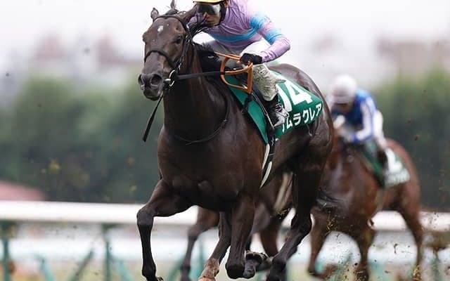 “8度目の正直”なるか 横山武史騎手を鞍上にスプリンターズSで悲願のGI制覇へ
