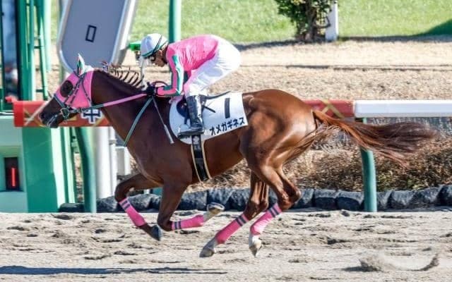 【シリウスS予想オッズ】オメガギネスが予想1番人気