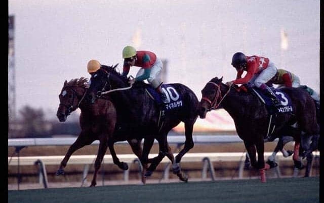 世界を制した絶対王者を撃破 7番人気の激走に中山競馬場騒然