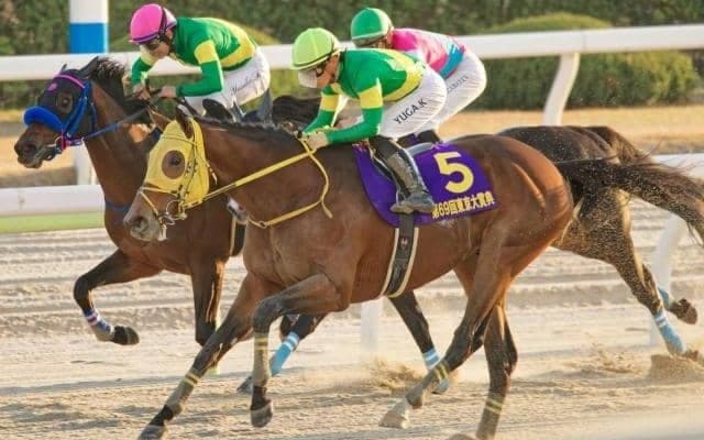 【船橋・日本テレビ盃注目馬】ウシュバテソーロ＆デルマソトガケ 米遠征前に弾み付ける勝利なるか