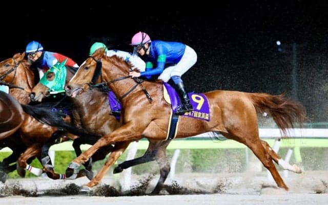 【マリーンC】アンモシエラは2枠2番へ