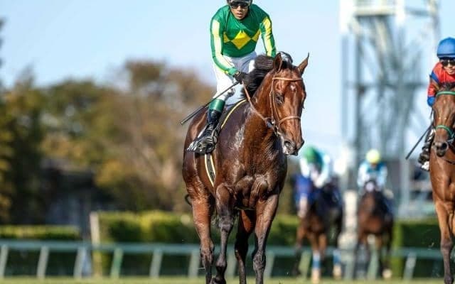 【スプリンターズS予想】穴党のAI推奨は意外にも連勝中の人気馬 秋GI開幕戦攻略のカギは？