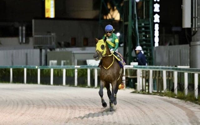【日本テレビ盃】高木師「1800mで忙しいところもあった」ウシュバテソーロは追い込み届かず2着