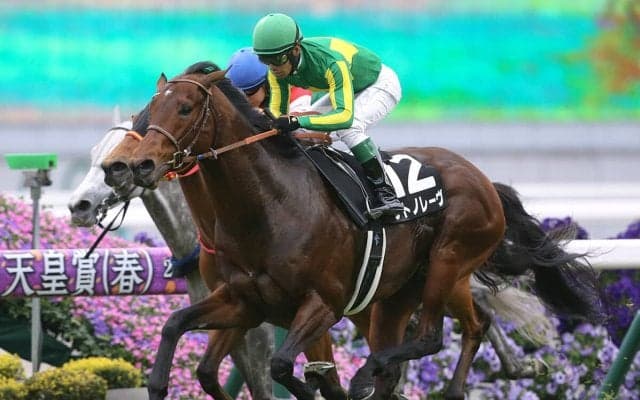 スプリンターズＳ、新鋭サトノレーヴは戦国スプリント路線の天下を獲れる器か