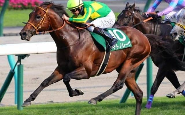 重賞3勝挙げた快足馬の弟がスプリンターズS参戦 GI初挑戦初制覇なるか