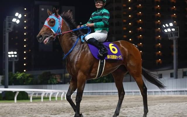 【船橋・マリーンC注目馬】今年から3歳限定戦で「Road to JBC」に指定 JpnIへの直行切符を手にする馬は