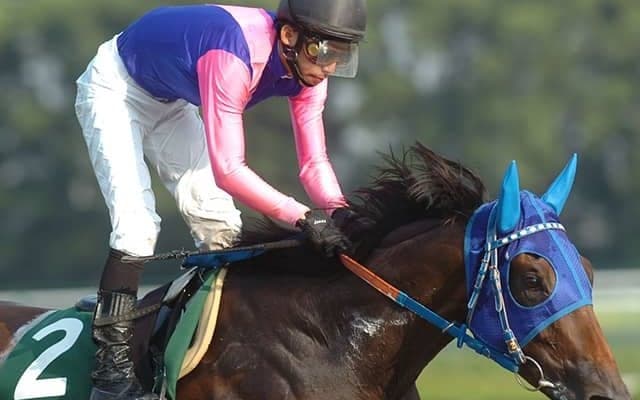 6億円以上を獲得の名牝にGI連覇馬など 中京のシリウスSから後の活躍馬